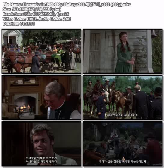 Shenandoah.1965.480p.BluRay.x265.셰넌도어_x265 (480p)