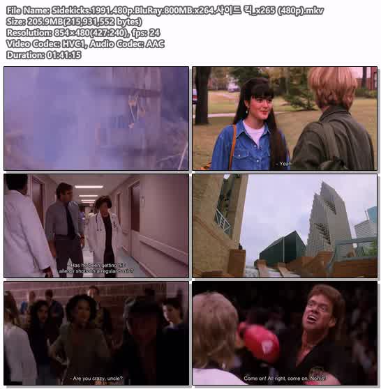 Sidekicks.1991.480p.BluRay.800MB.x264.사이드 킥_x265 (480p)