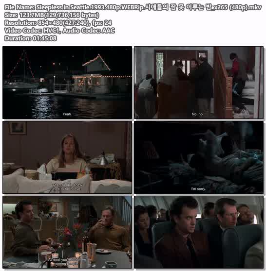 Sleepless.In.Seattle.1993.480p.WEBRip.시애틀의 잠 못 이루는 밤..