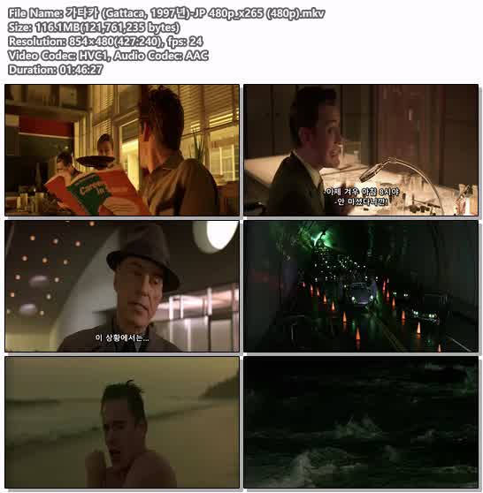 가타카 (Gattaca, 1997년)-JP 480p_x265 (480p)