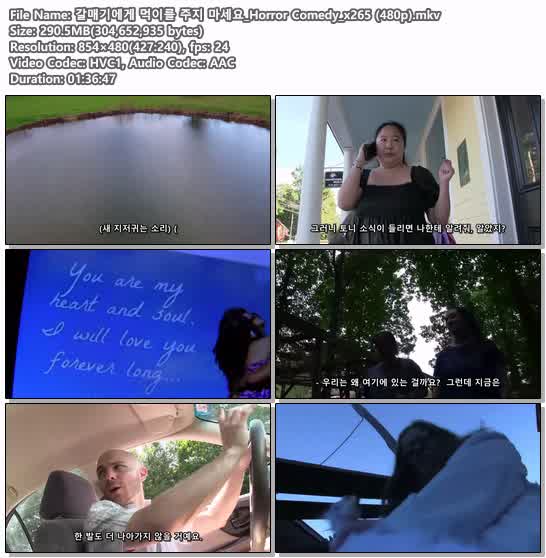 갈매기에게 먹이를 주지 마세요_Horror Comedy_x265 (480p)