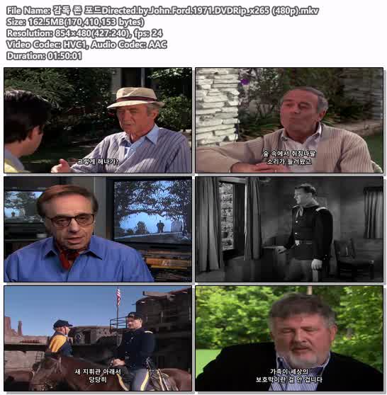 감독 존 포드Directed.by.John.Ford.1971.DVDRip_x265 (480p)