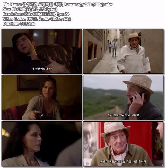 감성적인 로맨틱한 여행( Romance)_x265 (480p)