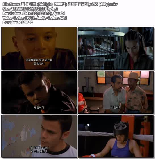 걸 파이트 (Girlfight, 2000년)-자체한글자막_x265 (480p)