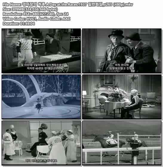 경마장의 하루.A.Day.at.the.Races.1937 일반화질_x265 (480p)