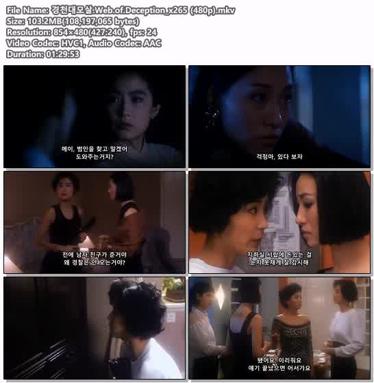경천대모살.Web.of.Deception_x265 (480p)