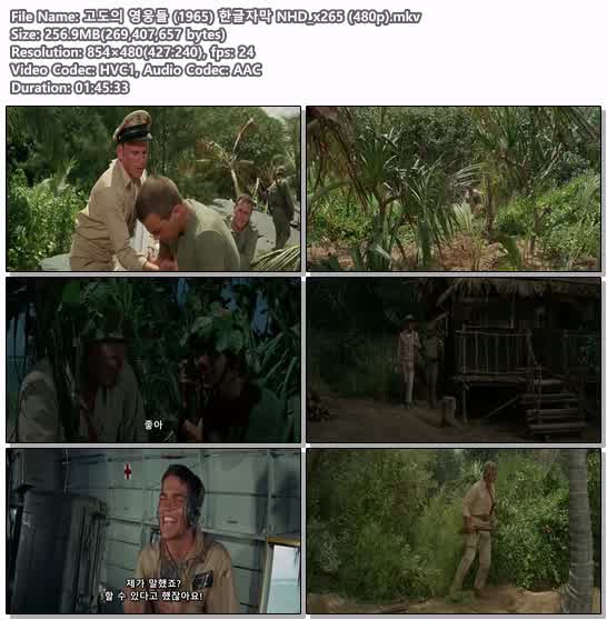 고도의 영웅들 (1965) 한글자막 NHD_x265 (480p)