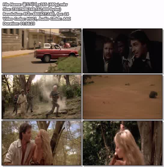 골드시나_x265 (480p)