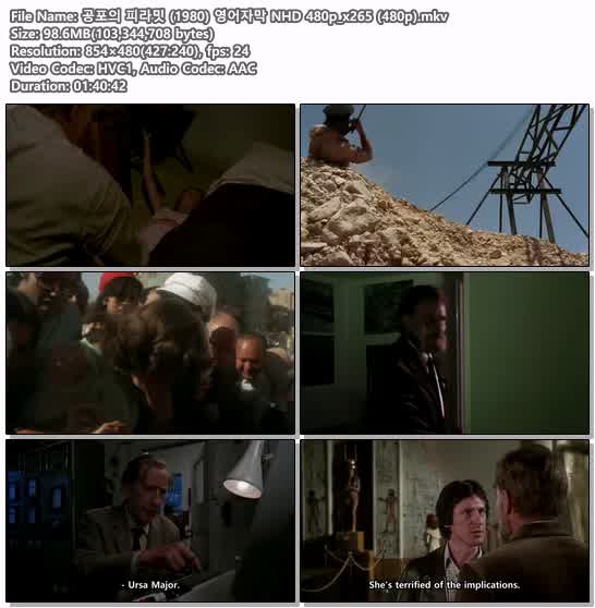 공포의 피라밋 (1980) 영어자막 NHD 480p_x265 (480p)