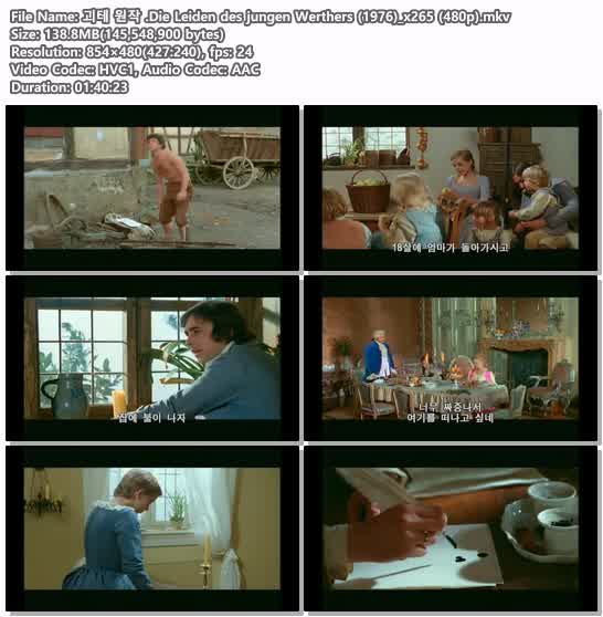 괴테 원작 .Die Leiden des jungen Werthers (1976)_x265 (480p)