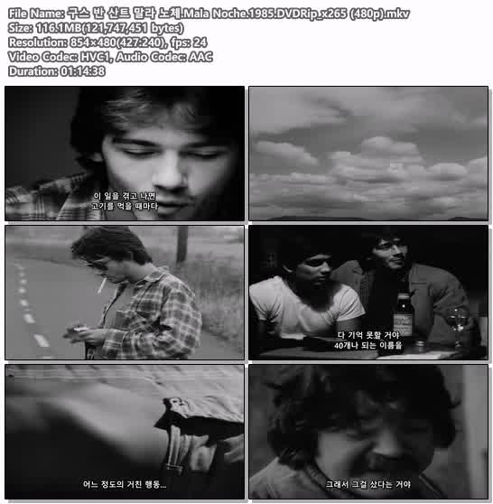 구스 반 산트 말라 노체.Mala Noche.1985.DVDRip_x265 (480p)
