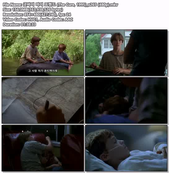 굿바이 마이 프렌드 (The Cure, 1995)_x265 (480p)