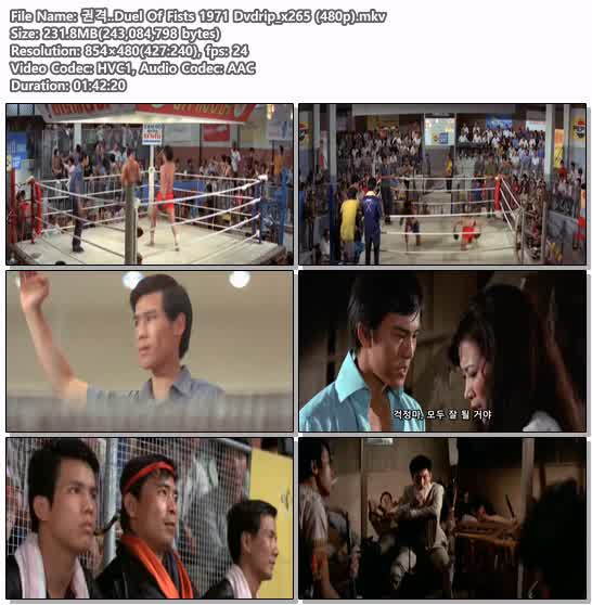 권격..Duel Of Fists 1971 Dvdrip_x265 (480p)