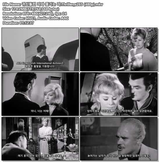 귀신들린 자와 쫓기는 자.Thriller_x265 (480p)