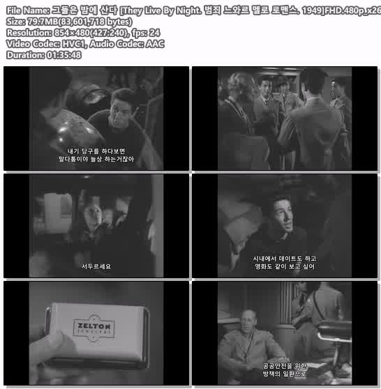 그들은 밤에 산다 [They Live By Night. 범죄 느와르 멜로 로맨스...