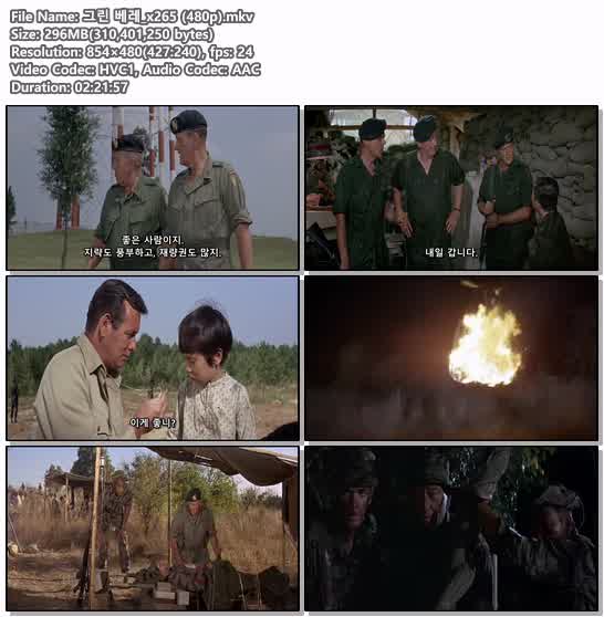 그린 베레_x265 (480p)