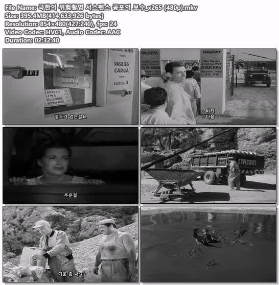 극한의 위험촬영 서스펜스 공포의 보수_x265 (480p)