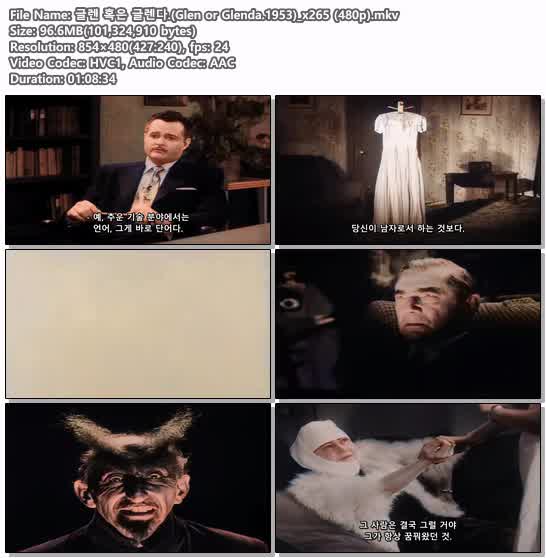 글렌 혹은 글렌다.(Glen or Glenda.1953)_x265 (480p)
