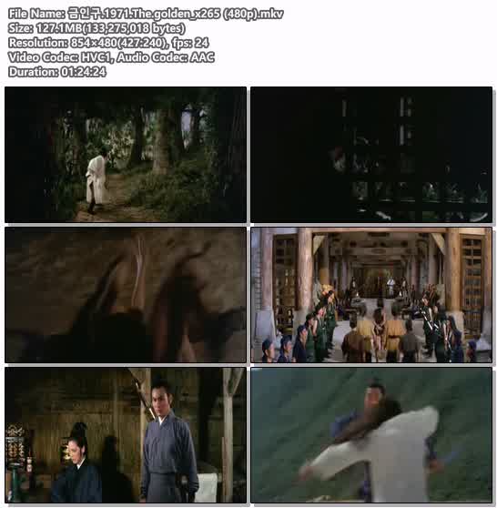금인구.1971.The.golden_x265 (480p)