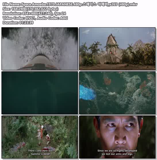 Space.Amoeba.1970.JAPANESE.480p.스페이스 아메바_x265 (480p)
