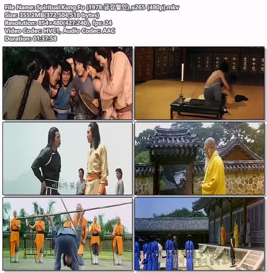 Spiritual.Kung.Fu (1978.금강혈인)_x265 (480p)