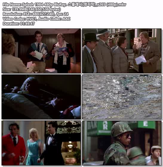 Splash 1984 480p BluRay. 스플래시(영자막)_x265 (480p)