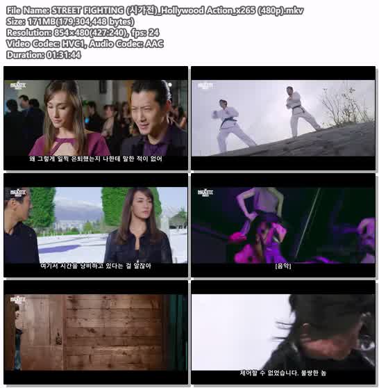 STREET FIGHTING (시가전)_Hollywood Action_x265 (480p)
