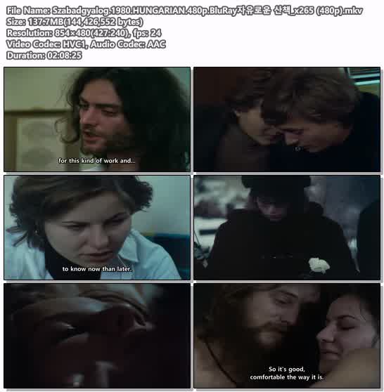 Szabadgyalog.1980.HUNGARIAN.480p.BluRay자유로운 산책_x265 (480p)