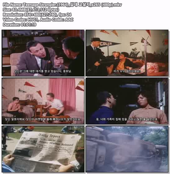 Teenage Strangler.(1964)_십대 교살자_x265 (480p)