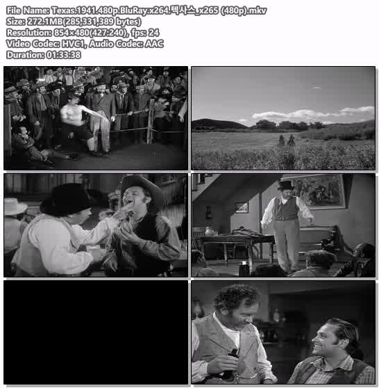 Texas.1941.480p.BluRay.x264.텍사스_x265 (480p)