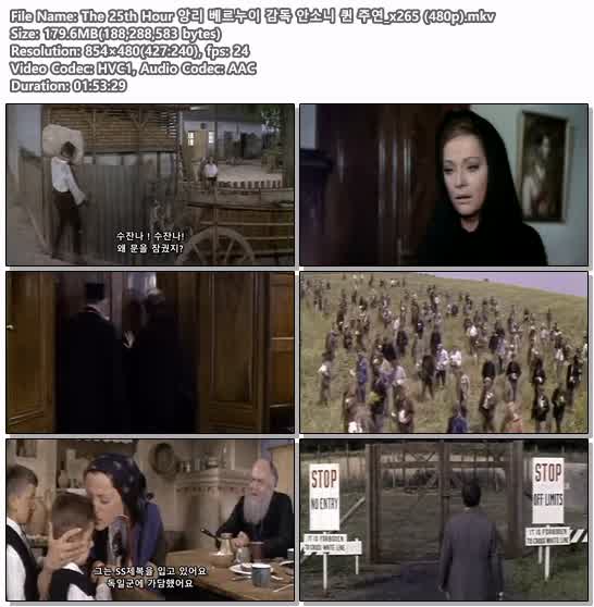 The 25th Hour 앙리 베르누이 감독 안소니 퀸 주연_x265 (480p)