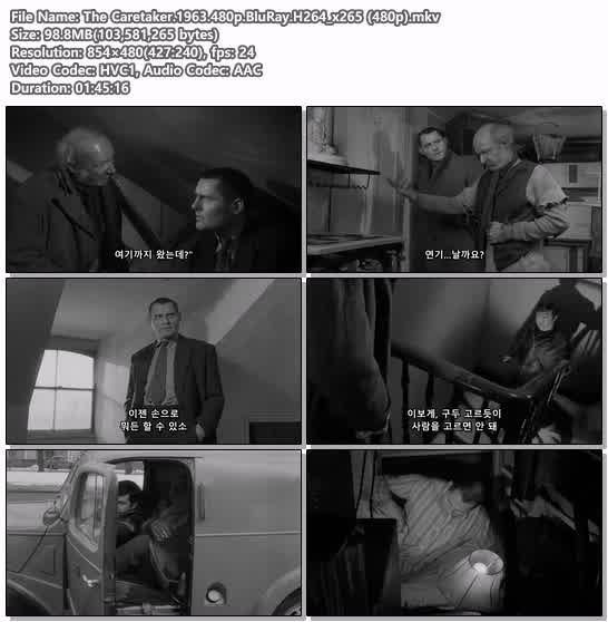 The Caretaker.1963.480p.BluRay.H264_x265 (480p)