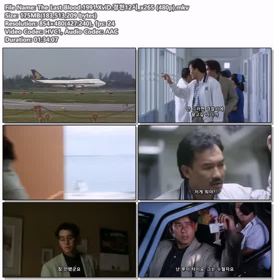 The Last Blood.1991.XviD.경천12시_x265 (480p)