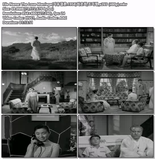 The Love Marriage(자유결혼.1958)최은희,조미령_x265 (480p)