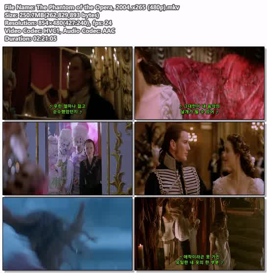 The Phantom of the Opera, 2004_x265 (480p)