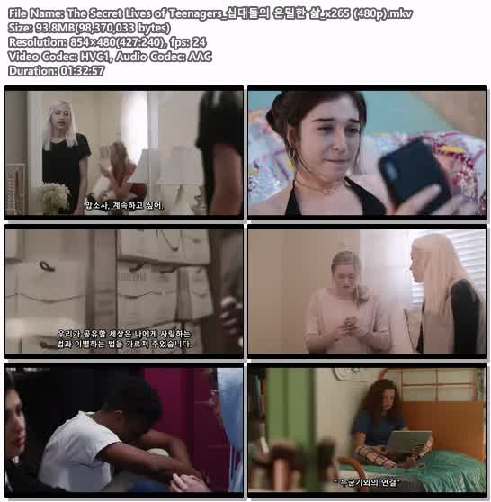 The Secret Lives of Teenagers_십대들의 은밀한 삶_x265 (480p)