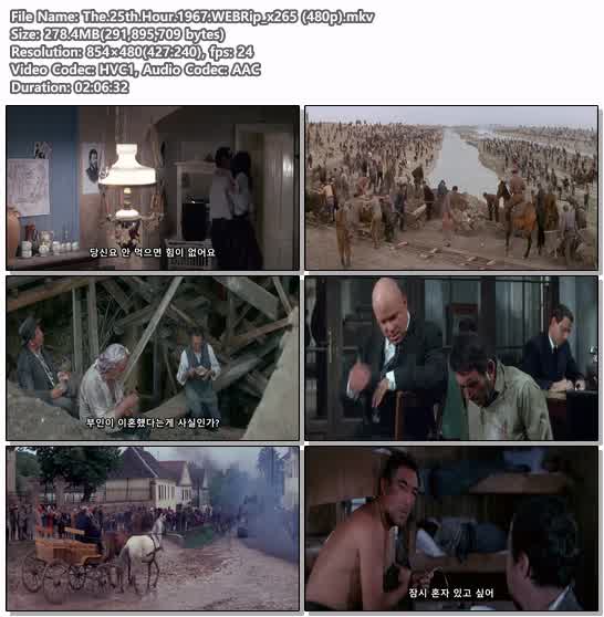The.25th.Hour.1967.WEBRip_x265 (480p)