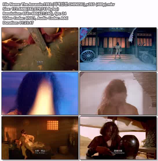 The.Assassin.1993.(자객신전.CHINESE.)_x265 (480p)