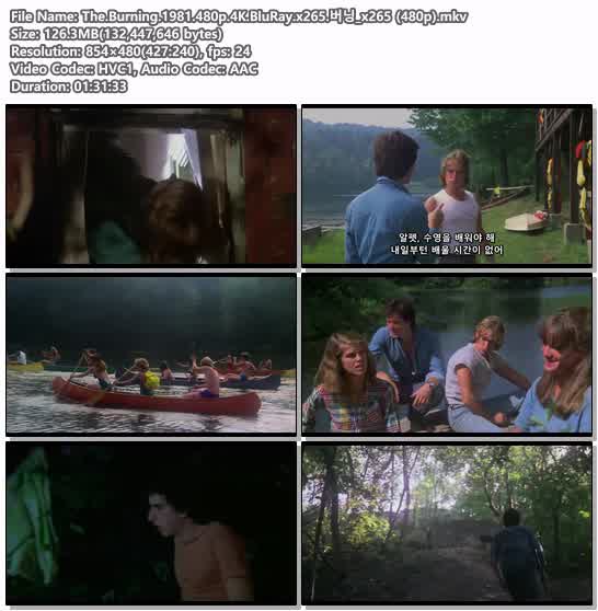 The.Burning.1981.480p.4K.BluRay.x265.버닝_x265 (480p)
