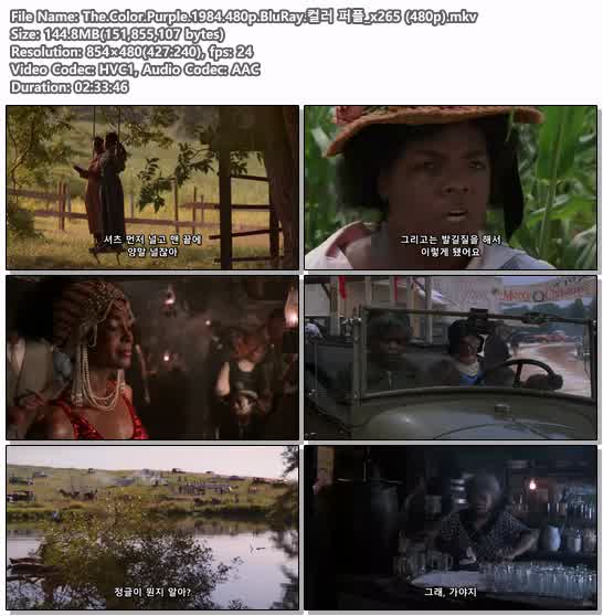 The.Color.Purple.1984.480p.BluRay.컬러 퍼플_x265 (480p)
