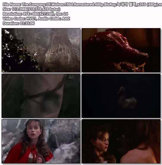 The.Company.Of.Wolves.1984.Remastered.480p.BluRay.늑대의 혈족_..