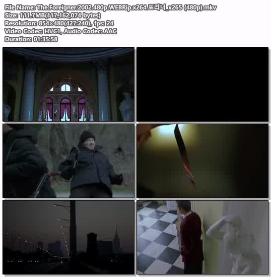The.Foreigner.2002.480p.WEBRip.x264.포리너_x265 (480p)