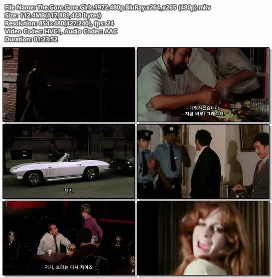 The.Gore.Gore.Girls.1972.480p.BluRay.x264_x265 (480p)