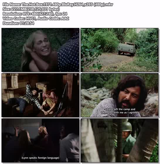 The.Hot.Box.1971.480p.BluRay.H264_x265 (480p)