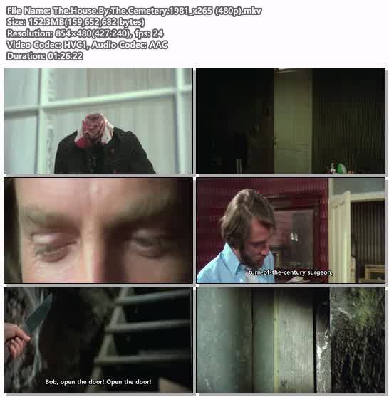 The.House.By.The.Cemetery.1981_x265 (480p)