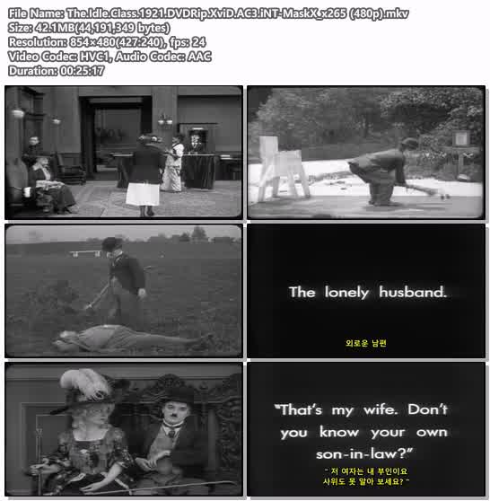 The.Idle.Class.1921.DVDRip.XviD.AC3.iNT-MaskX_x265 (480p)