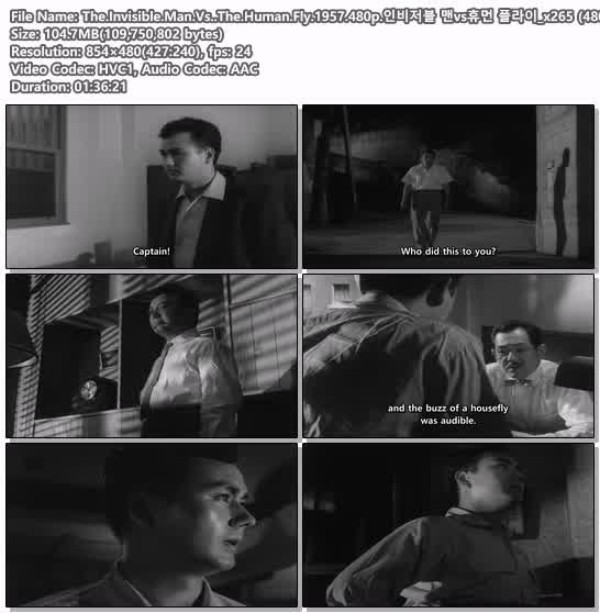 The.Invisible.Man.Vs..The.Human.Fly.1957.480p.인비저블 맨vs휴..