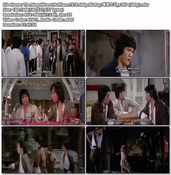 The.Magnificent.Ruffians.1978.480p.BluRay.매명소자_x265 (480p)