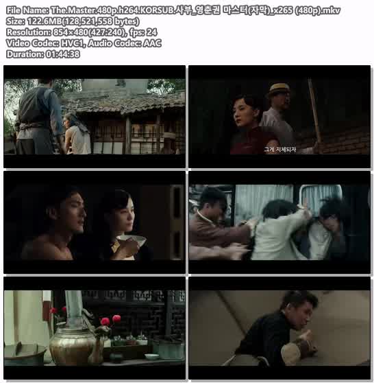 The.Master.480p.h264.KORSUB.사부_영춘권 마스터(자막)_x265 (480p)