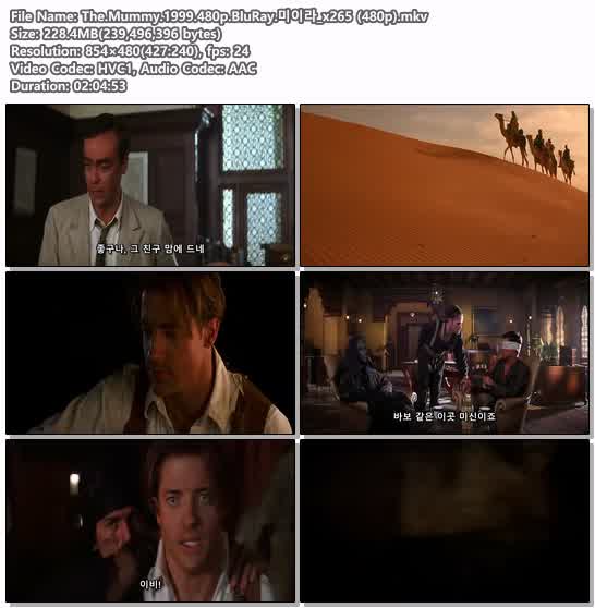 The.Mummy.1999.480p.BluRay.미이라_x265 (480p)